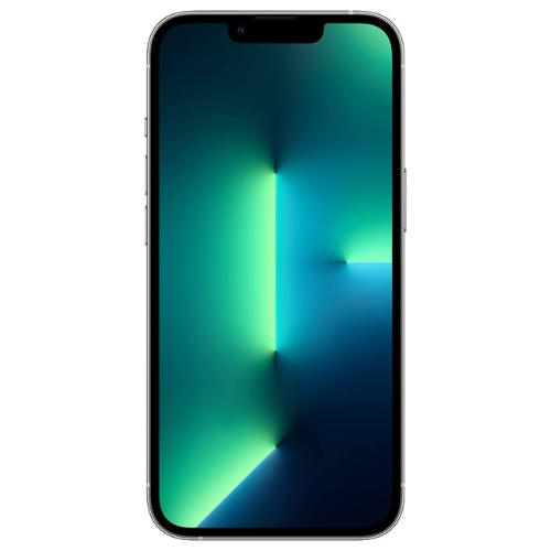 iPhone 13 Pro Silver 256GB (Unlocked) - Image 3